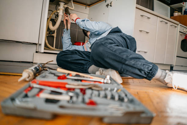 Best Local Plumber Services  in La Vernia, TX