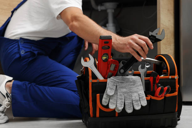 Best Affordable Plumbing Services  in La Vernia, TX