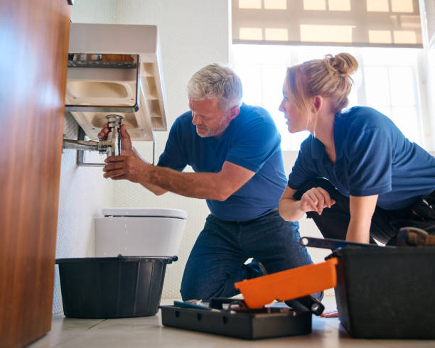 Best Plumbing Repair Near Me  in La Vernia, TX